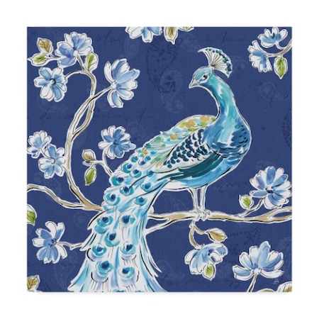 Daphne Brissonnet 'Peacock Allegory IV Blue' Canvas Art,24x24
